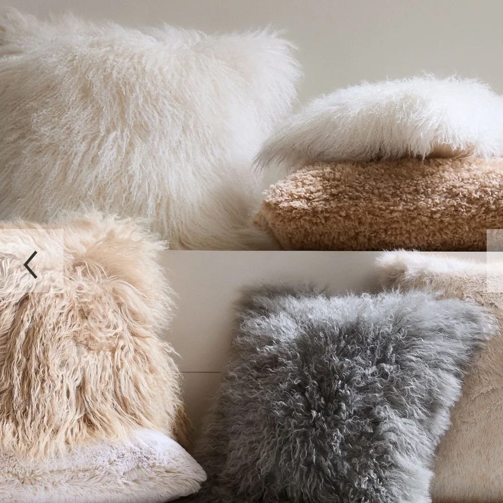 West Elm Mongolian Sheep Pillow Cover (1)
